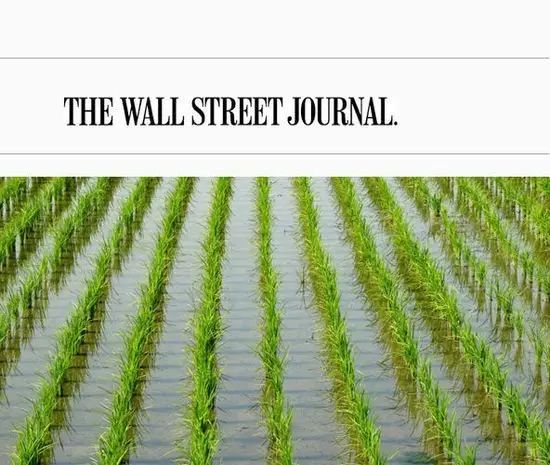 糧食戰(zhàn)爭(zhēng)：美國大米“入侵”將怎樣改變市場(chǎng)格局？