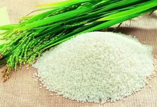 糧食戰(zhàn)爭(zhēng)：美國大米“入侵”將怎樣改變市場(chǎng)格局？